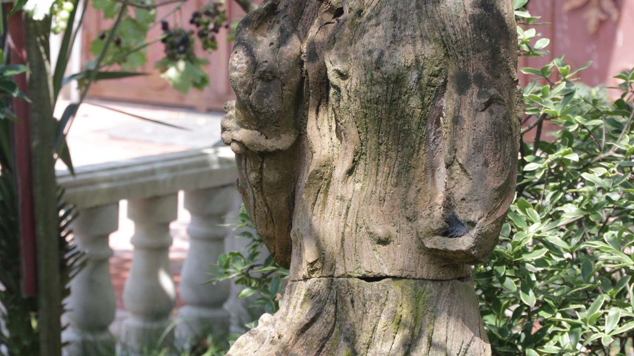 Photo of Outdoor in Kutaisi