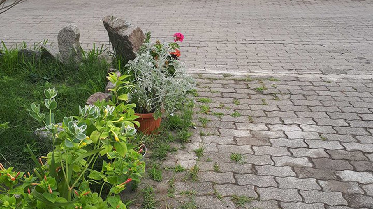 Photo of Patio Balcony in Kobuleti