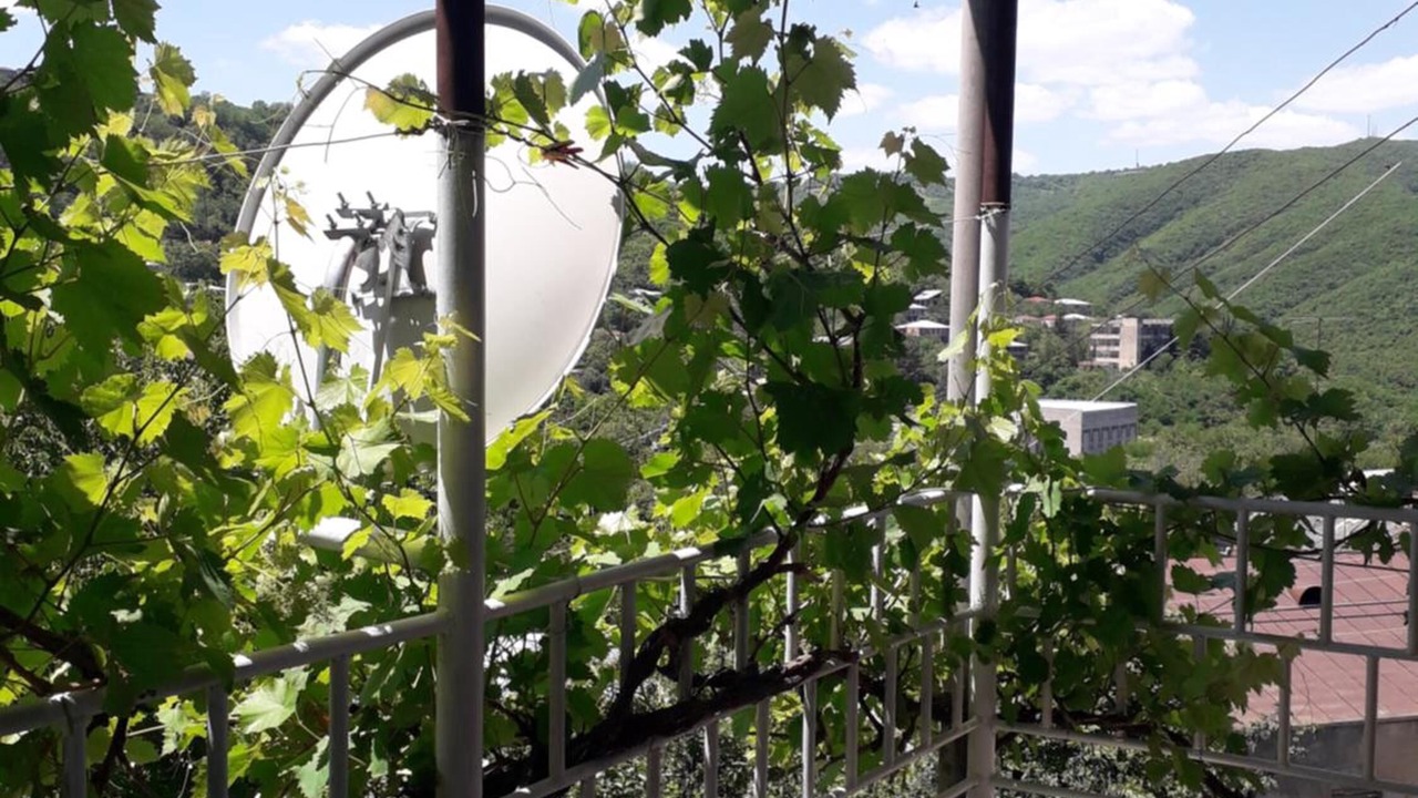 Photo of Outdoor in Sighnaghi
