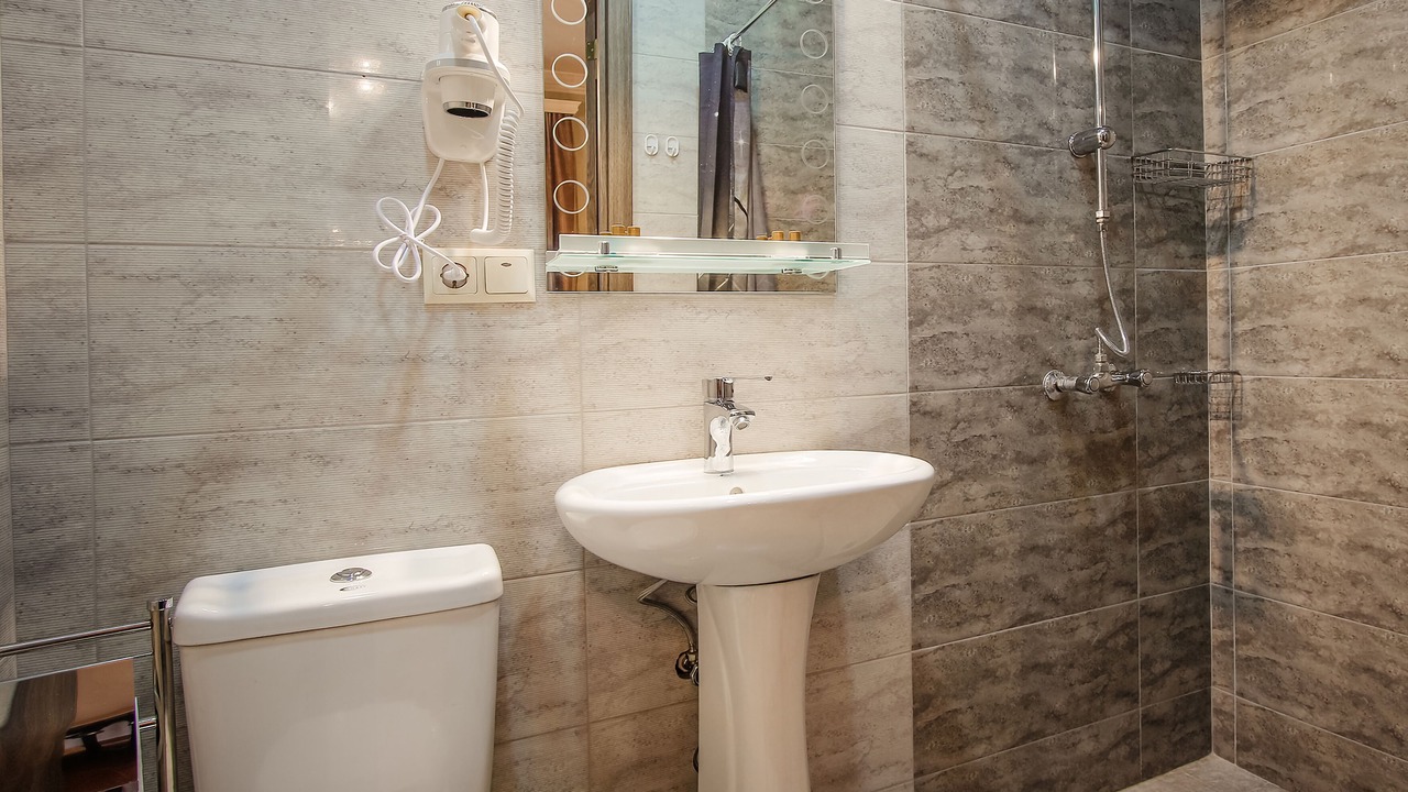 Photo of Bathroom in Didube