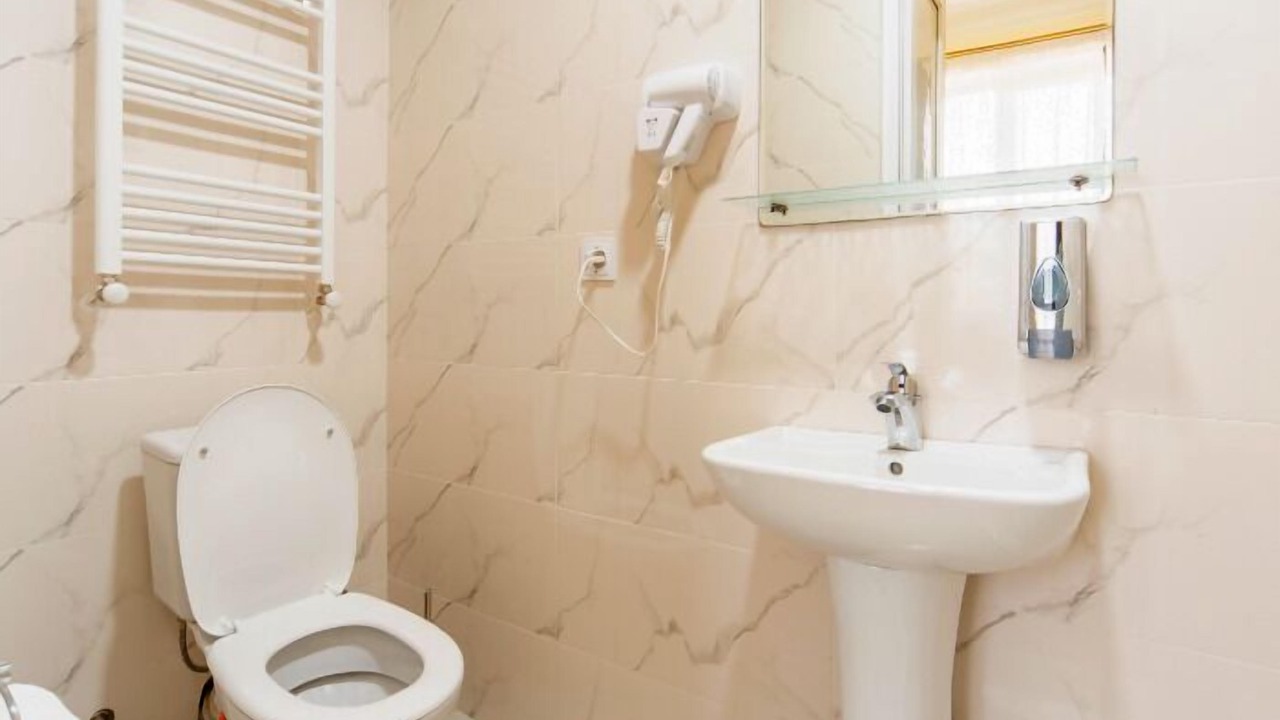 Photo of Bathroom in Telavi