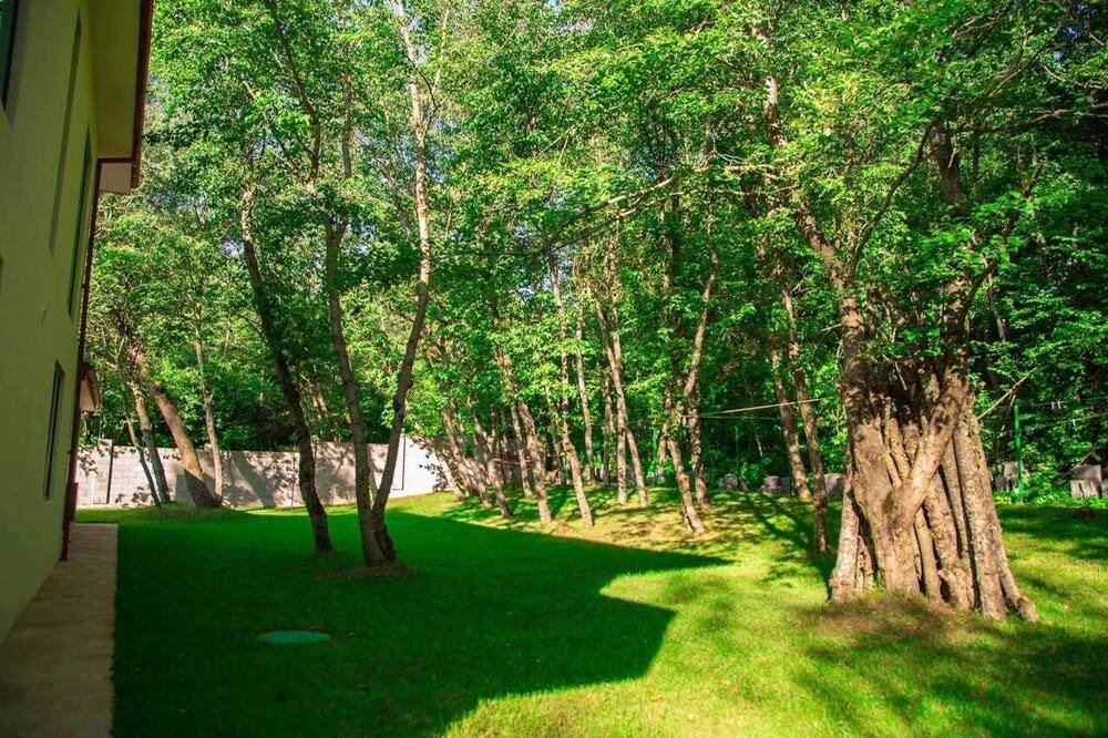 Photo of Outdoor in Mtskheta