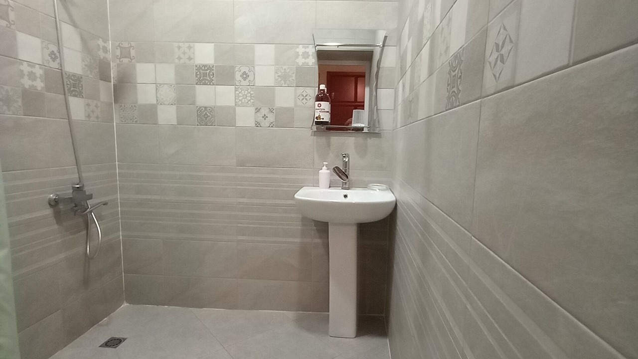 Photo of Bathroom in Telavi