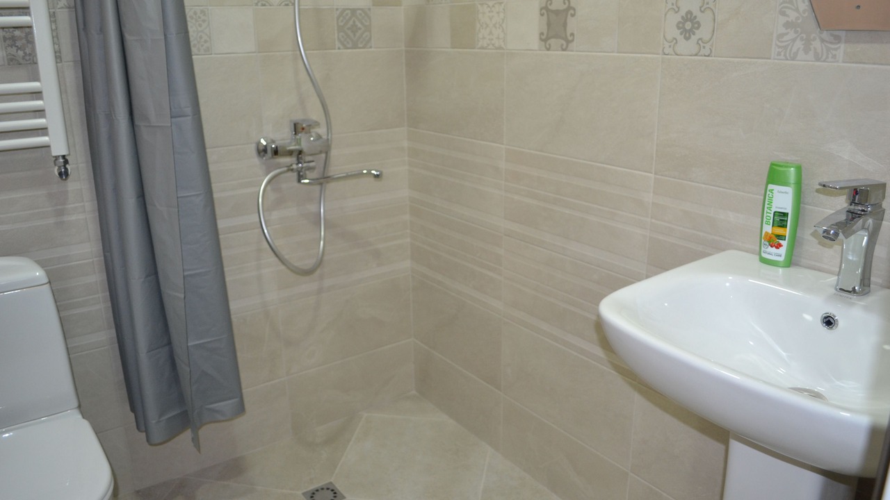 Photo of Bathroom in Telavi