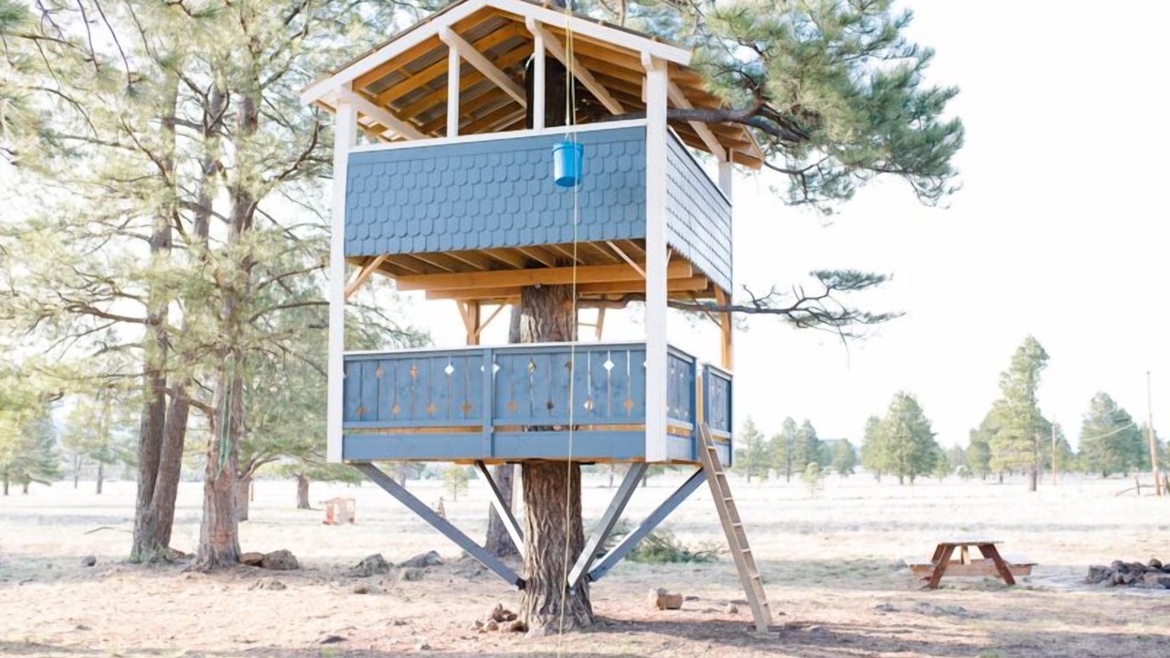 Photo of Outdoor in Parks