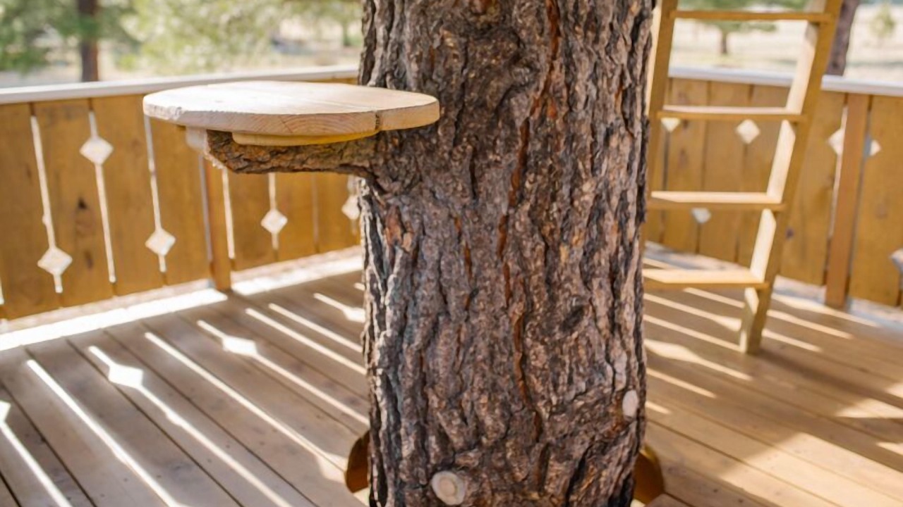Photo of Patio Balcony in Parks