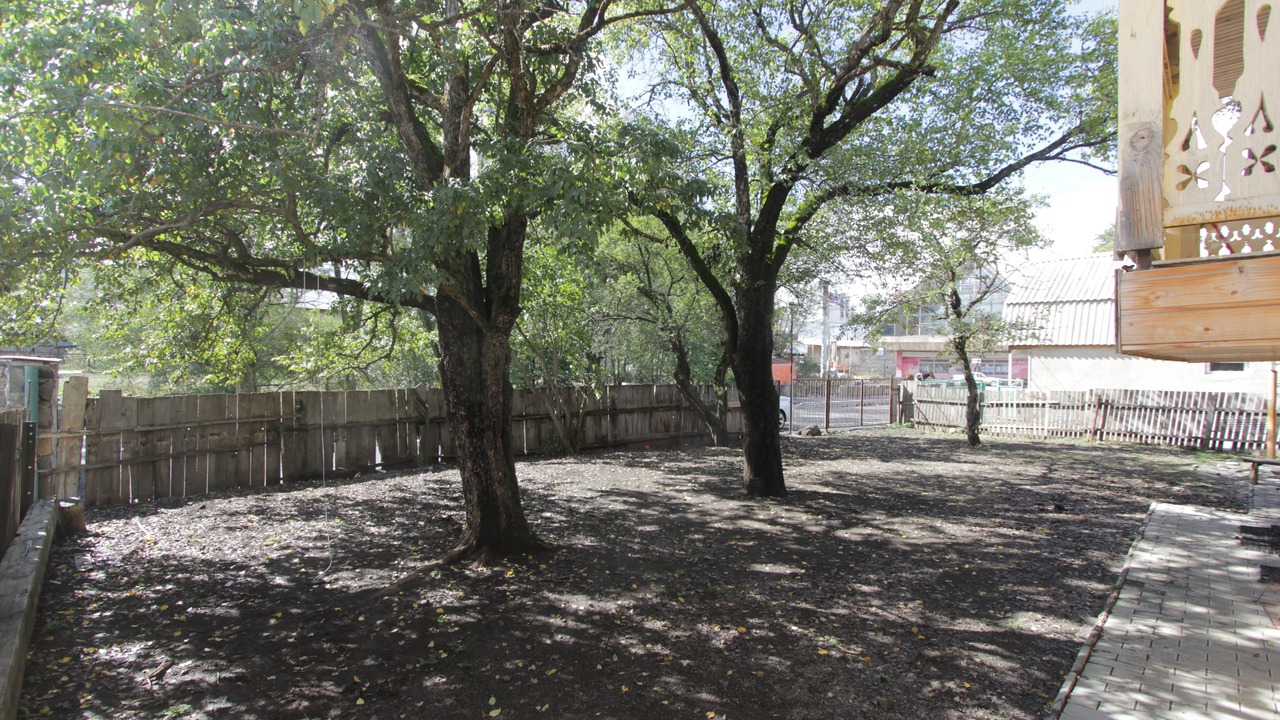Photo of Outdoor in Bakuriani