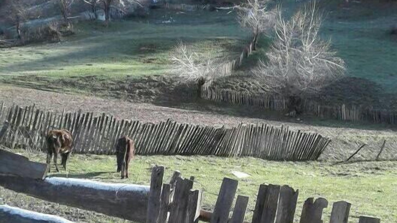 Photo of Others in Mazeri