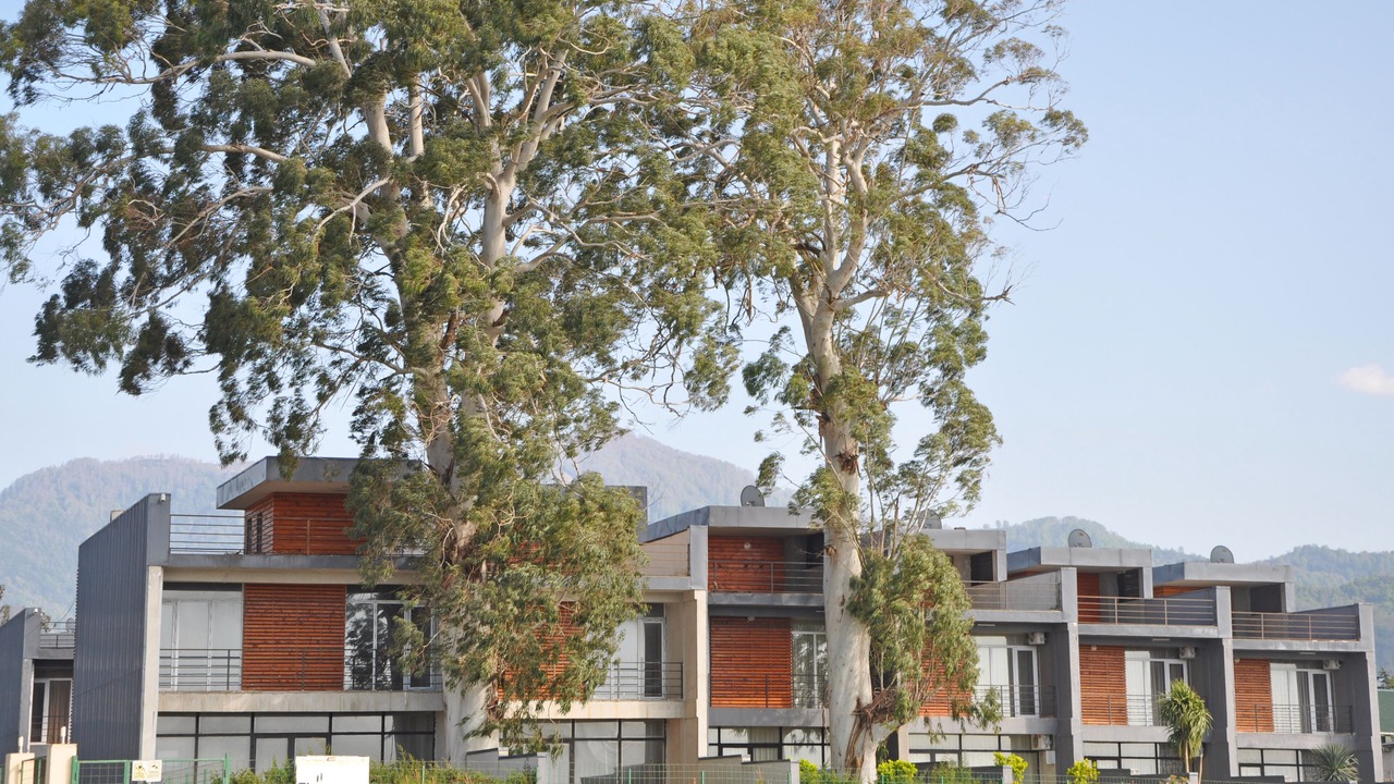 Photo of Outdoor in Chakvi