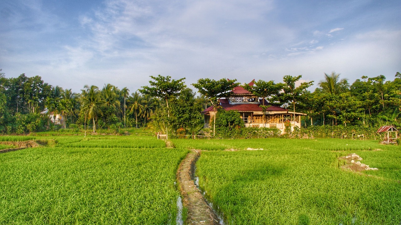 Photo of Outdoor in Bohorok