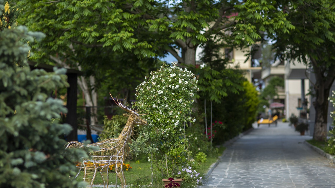 Photo of Outdoor in Kobuleti