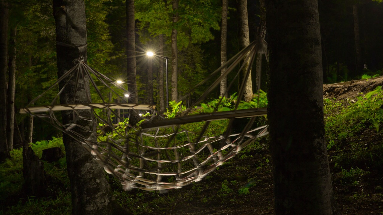 Photo of Outdoor in Bakuriani