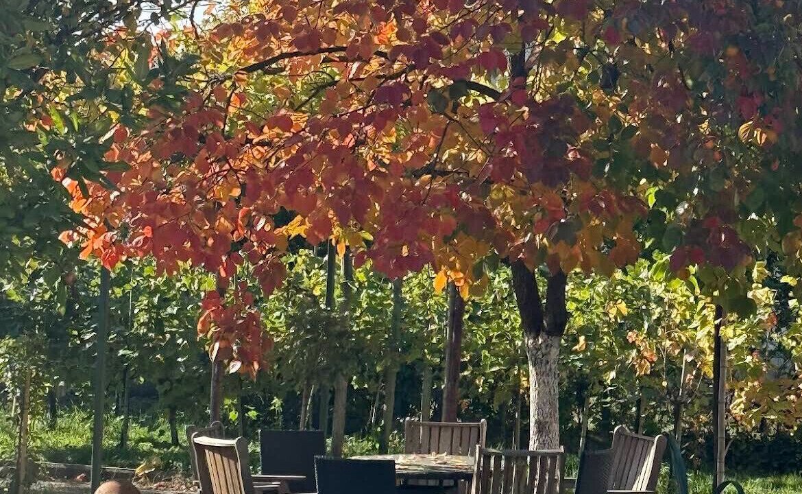 Photo of Outdoor in Tsilkani