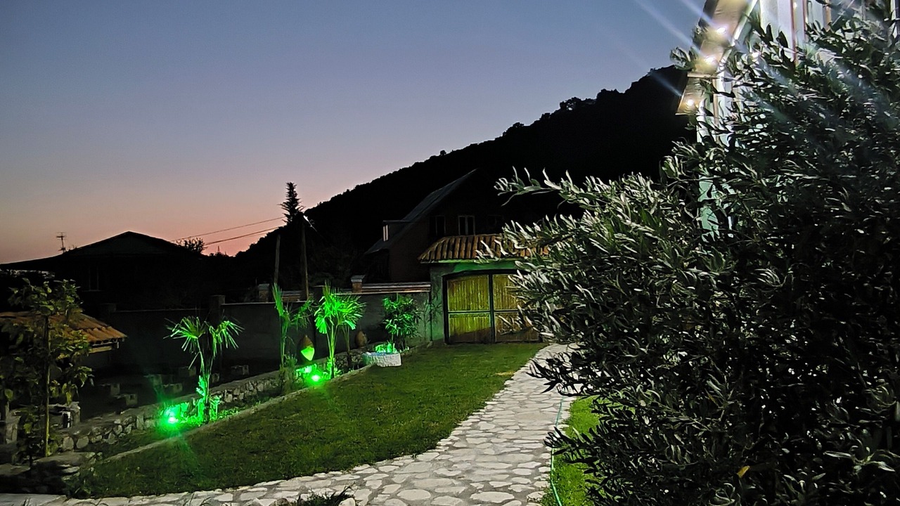 Photo of Outdoor in Lagodekhi
