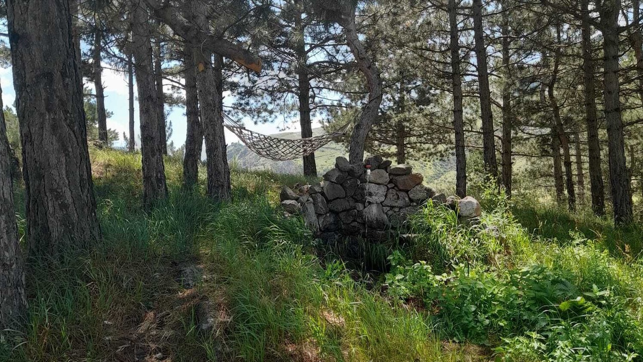 Photo of Outdoor in T'ba