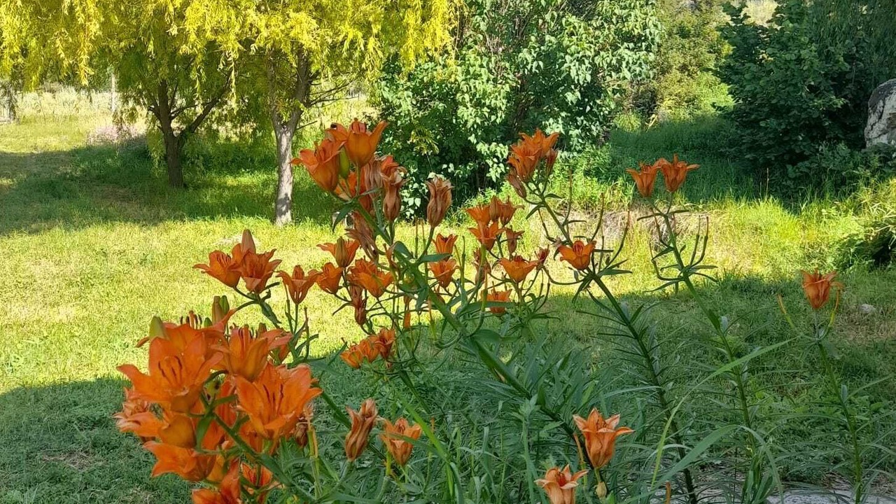 Photo of Outdoor in T'ba