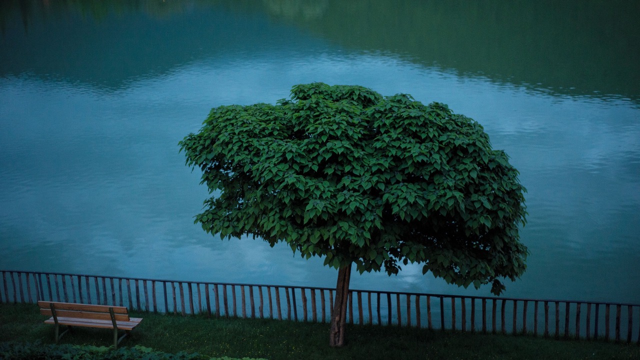 Photo of Outdoor in Napareuli