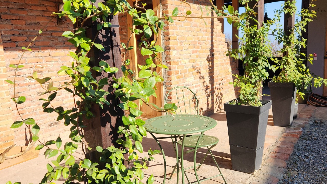 Photo of Patio Balcony in Mirzaani
