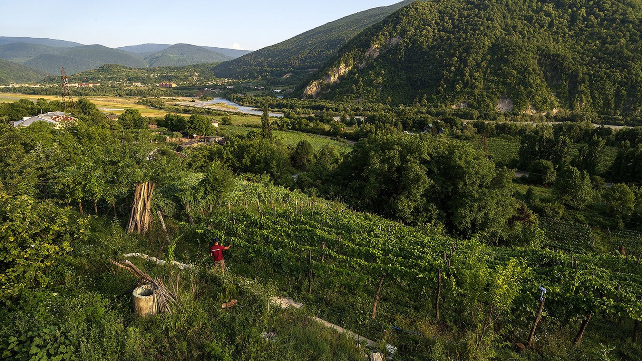 Photo of Outdoor in Ambrolauri