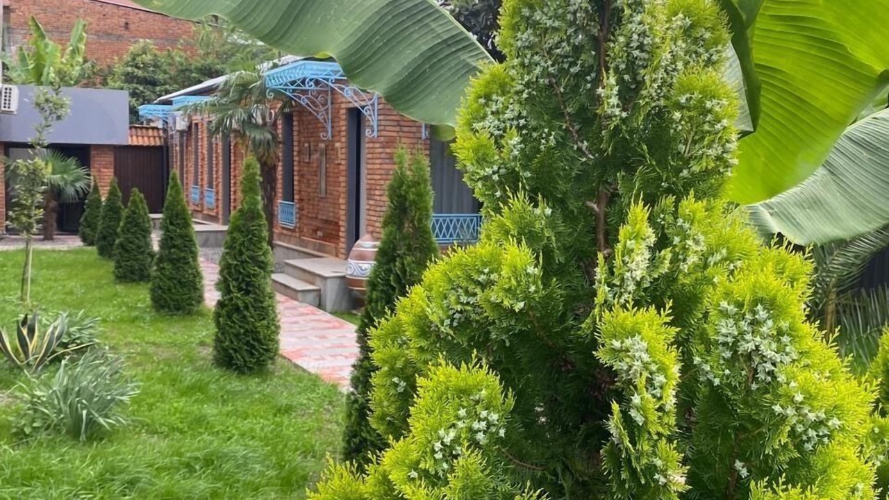Photo of Outdoor in Kutaisi