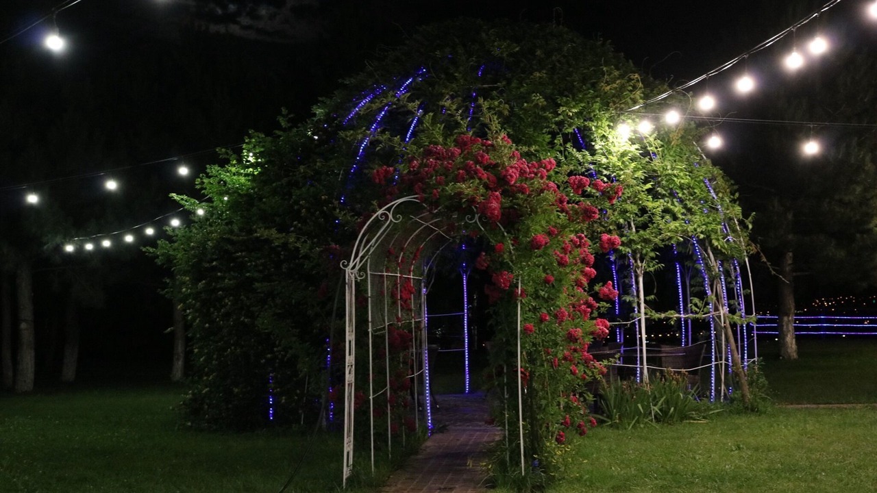 Photo of Outdoor in Tbilisi City Centre