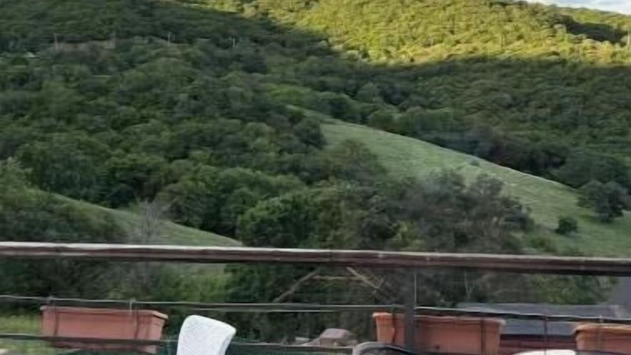 Photo of Outdoor in Mskhaldidi