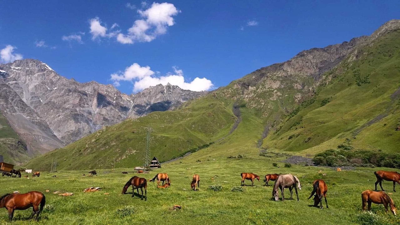 Photo of Outdoor in Stepantsminda
