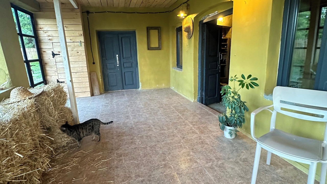 Photo of Patio Balcony in Zegaani