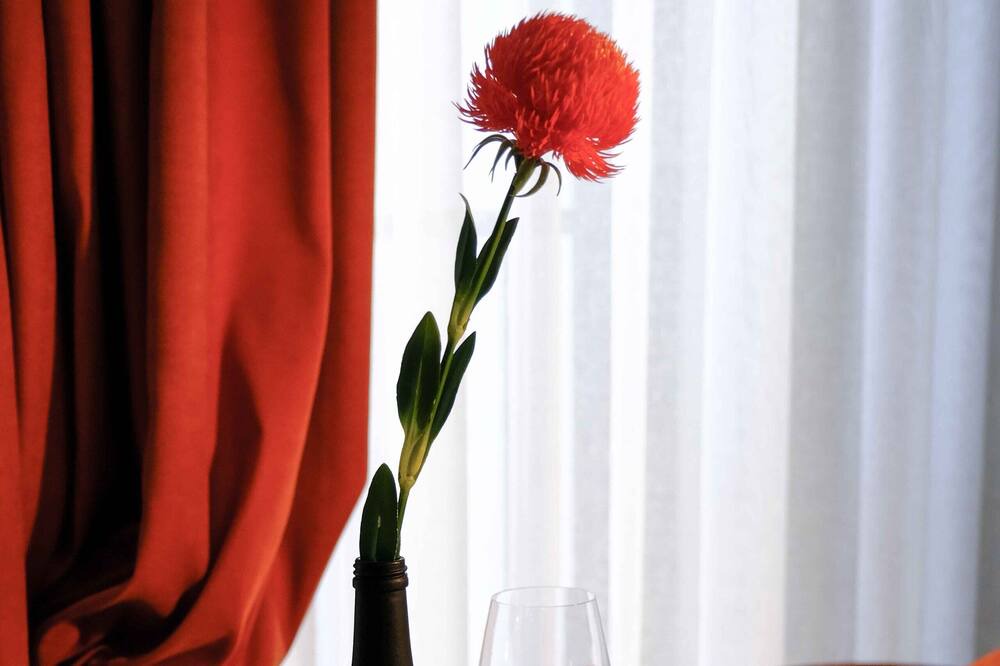 Photo of Bedroom in Vera