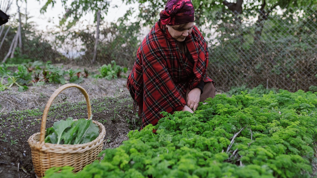 Photo of Outdoor in Sighnaghi
