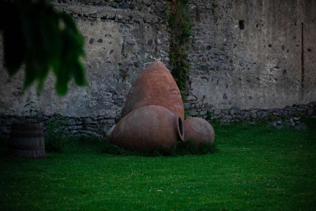Photo of Outdoor in Kvareli