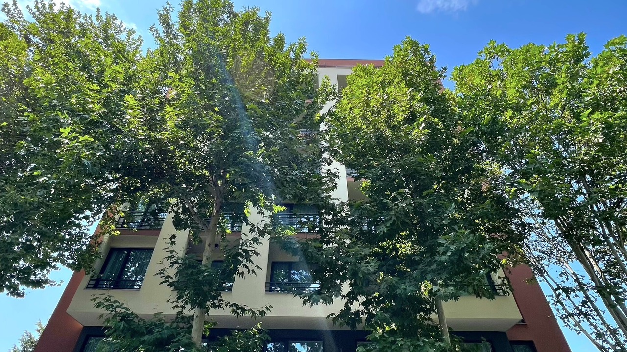 Photo of Outdoor in Tbilisi