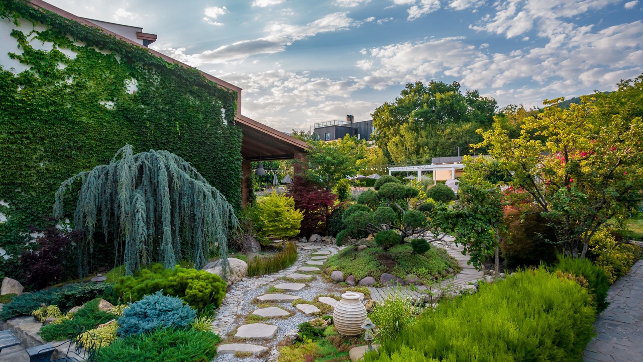 Photo of Outdoor in Zegaani