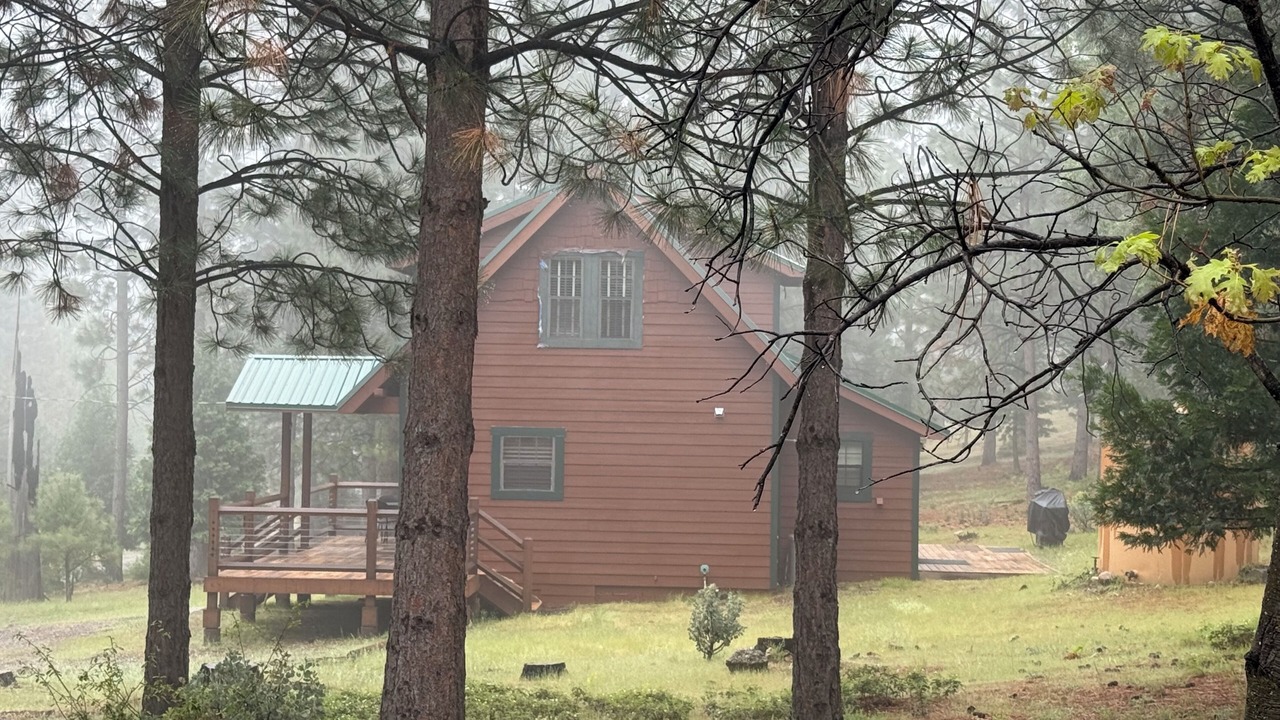Photo of Outdoor in Foresta