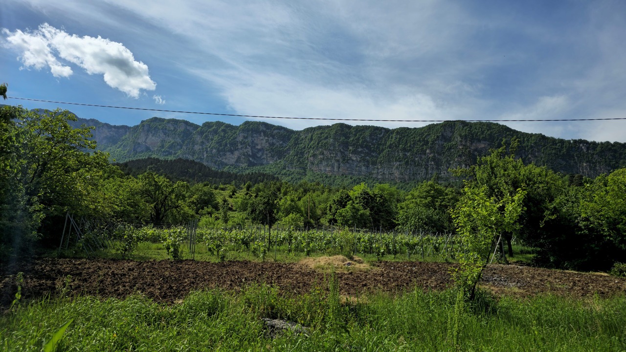 Photo of Others in Tsageri