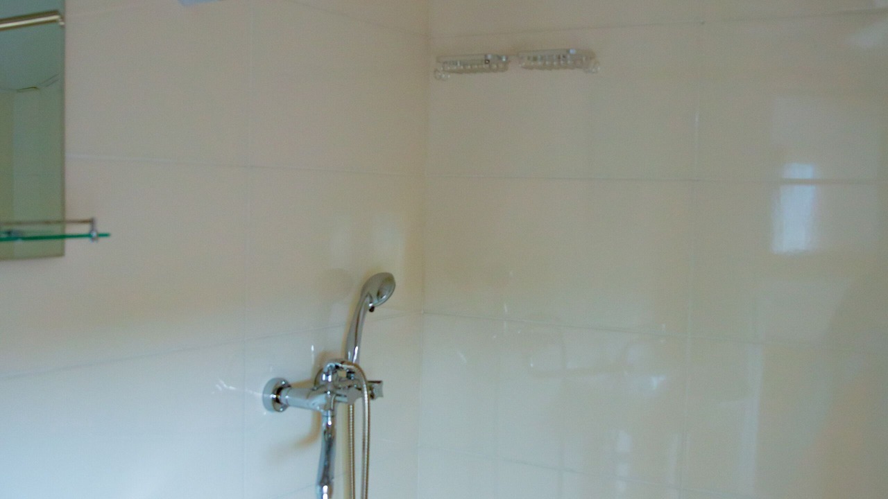 Photo of Bathroom in Telavi