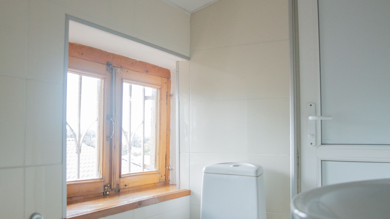 Photo of Bathroom in Telavi