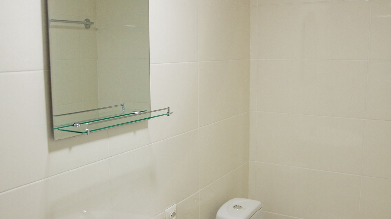 Photo of Bathroom in Telavi