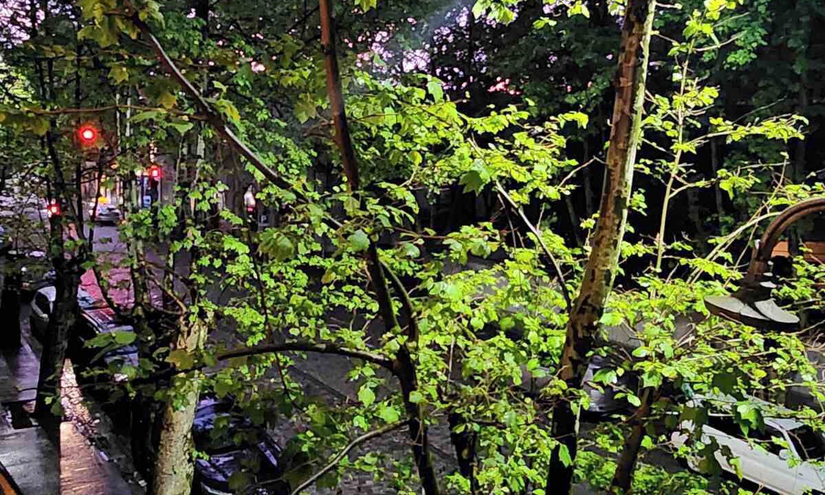 Photo of Outdoor in Kutaisi