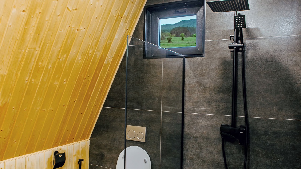 Photo of Bathroom in Telavi