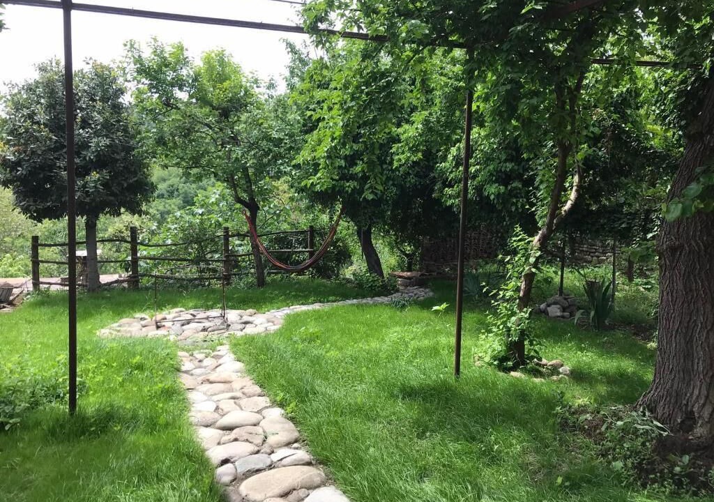 Photo of Outdoor in Sighnaghi