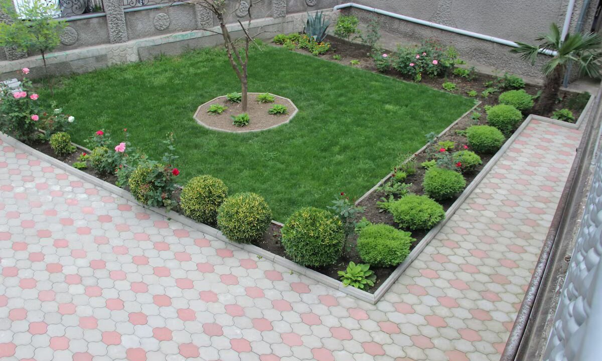 Photo of Outdoor in Kutaisi