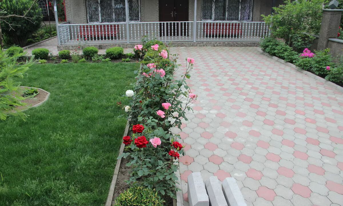 Photo of Outdoor in Kutaisi