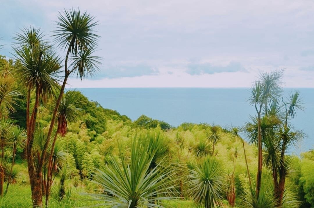 Photo of Outdoor in Batumi