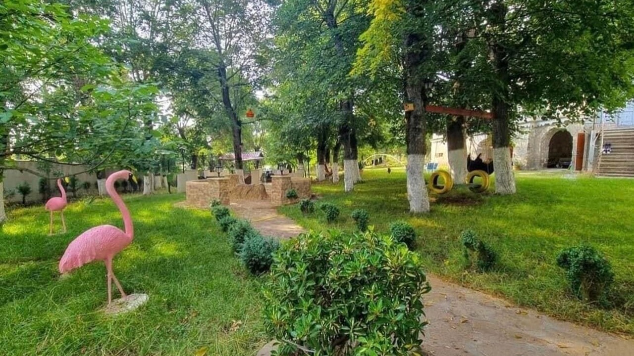 Photo of Outdoor in Tbilisi