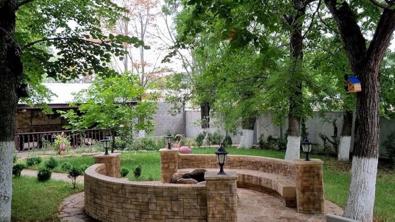 Photo of Outdoor in Tbilisi