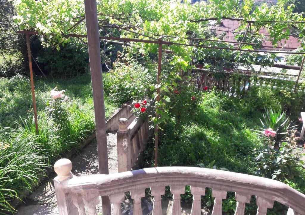 Photo of Outdoor in Borjomi
