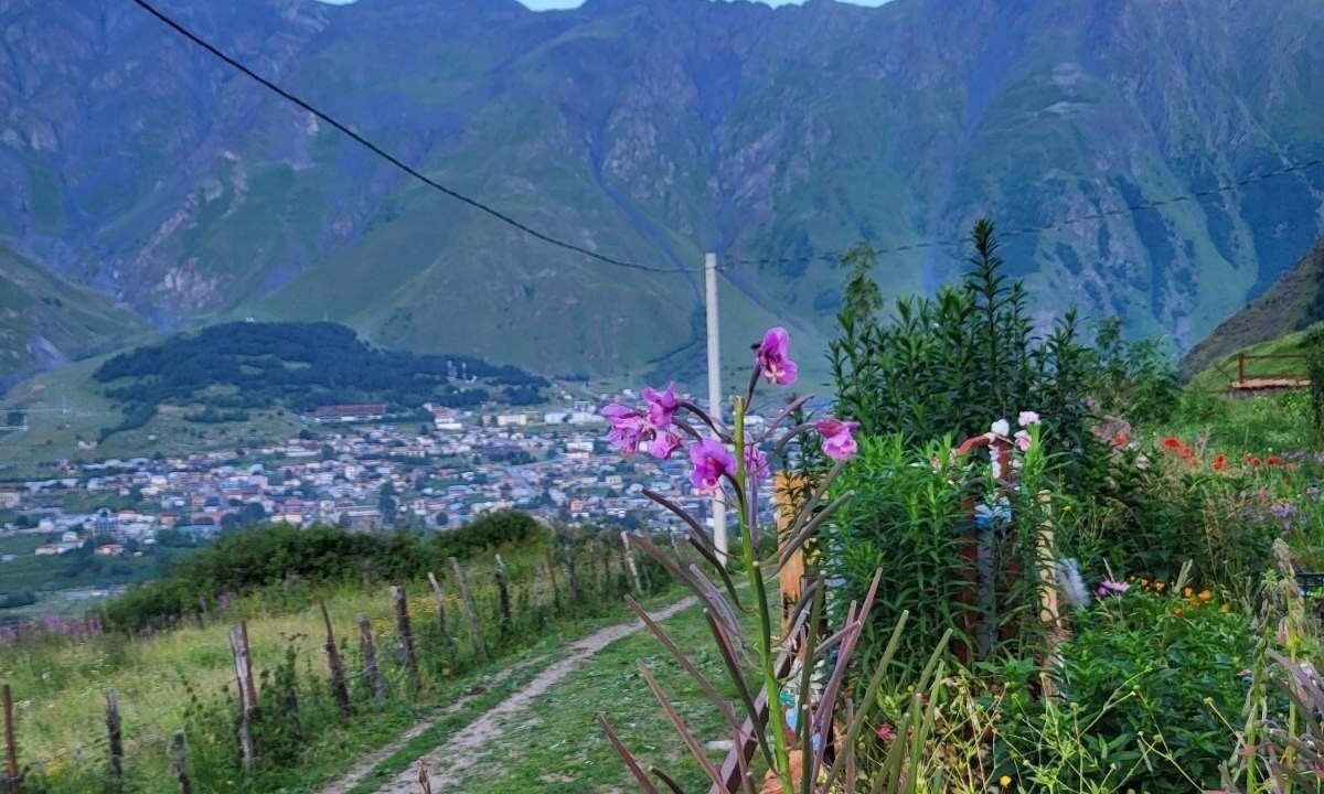 Photo of Outdoor in Stepantsminda