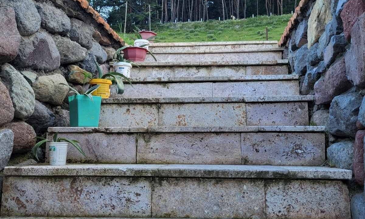 Photo of Outdoor in Stepantsminda