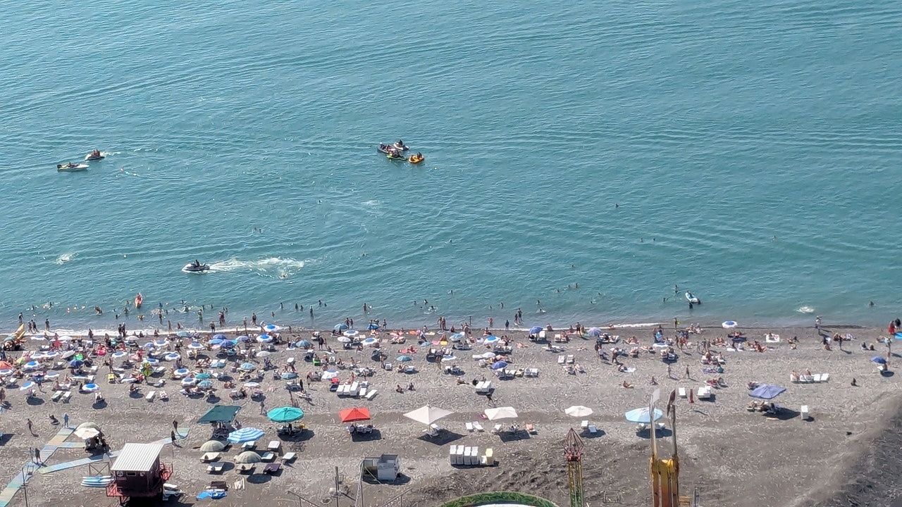 Photo of Others in New Boulevard